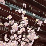【台湾】台北の日系ホテル7選！日本人におすすめの日本語ホテルランキング